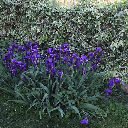 Casa Lorenzo アパート *