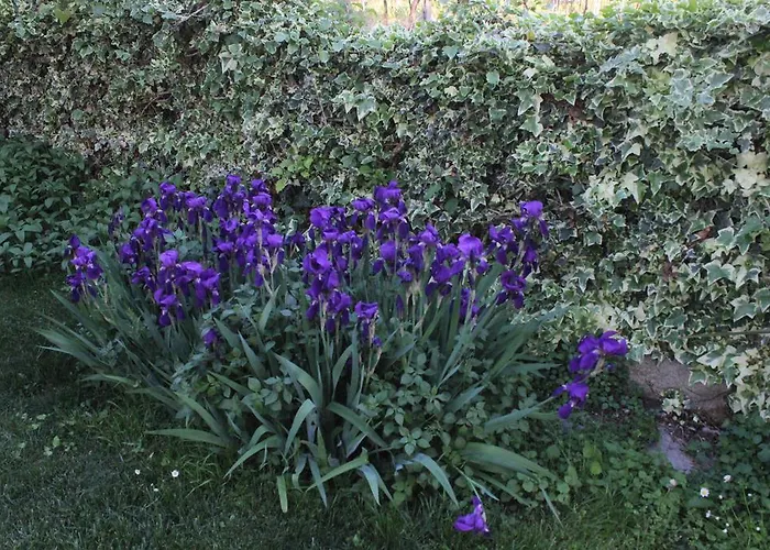 Casa Lorenzo Apartamento *